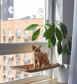 Подвесная лежанка на окно для кошки
