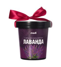 Набор для выращивания Лаванда