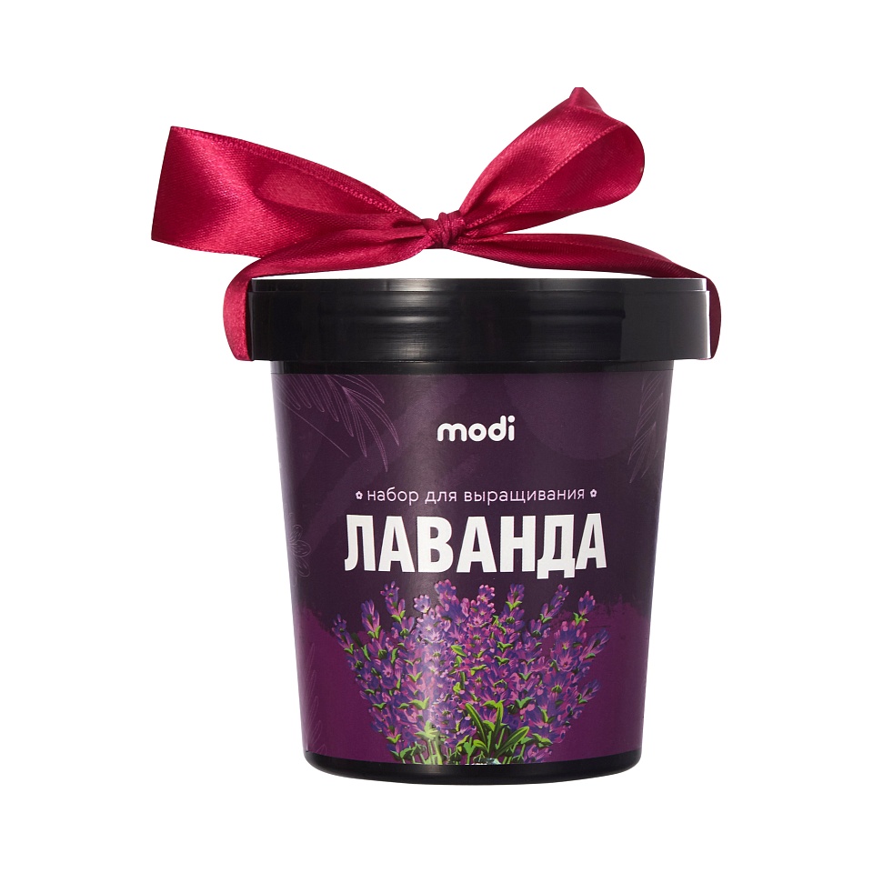 Лаванда декоративная Услада