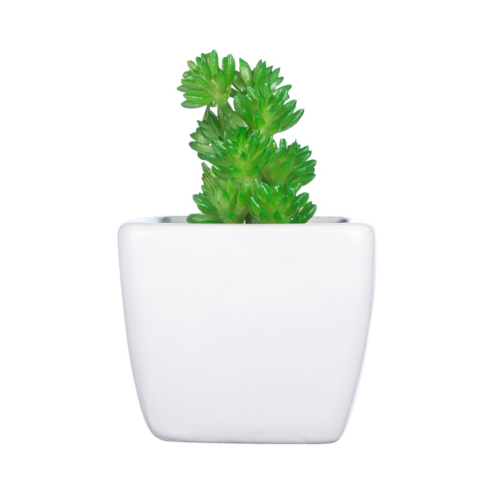 примула цветок в горшке. горшок для цветов face. шоколадные горшочки с цветами. горшок для суккулентов. икеа фейка искусственное растение в горшке.