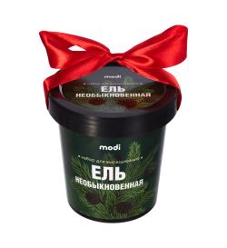 Набор для выращивания Ель