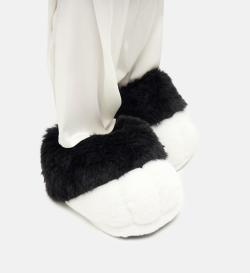 Тапочки Paws, 35-39
